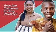 How One Chicken Can Transform an Entire Community