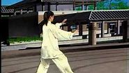 24 Simplified Tai Chi (back view) Demonstration