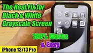 The Real Fix for Black & White Grayscale Screen on iPhone 13 / iPhone 13 Pro/Mini/ 13 Pro Max