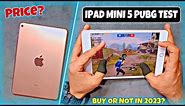 iPad Mini 5 PUBG Test 2023 | After 4 Years Performance | Price | Fps | Heat & lag | Electro Sam