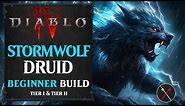 Diablo 4 Druid Build - Storm Werewolf Leveling Build (Stormwolf)