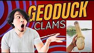 Geoduck clams - Explained!