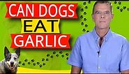 Can Dogs Eat Garlic (7 KEY Benefits Say Yes)