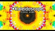 Colorful 70s Hippie Flowers Kaleidoscope Art Effect "Flower Power" - 4K Visual ASMR 万花筒