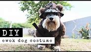DIY: The Making Of An Ewok Dog Costume | Scarlet Stitch