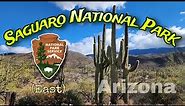 Explore a Cactus Forest | Saguaro National Park East