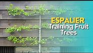 The Art of Espalier: Training Fruit Trees
