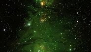 NGC 2264: Christmas Tree Cluster