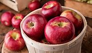 Is Apple A Citrus Fruit? (Quick Facts) - The Trellis