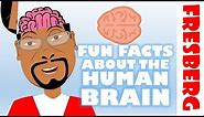 Fun Facts about the Brain: Interesting facts about the human brain (Educational)