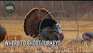 Where to Shoot a Turkey | BEST OF HUNTING Compilation