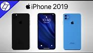 The 3 NEW iPhones for 2019!