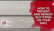 How to Prevent and Remedy Blistering on Your Wall - PaintDoctor Ep12