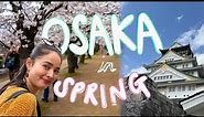Exploring Osaka in Spring | Cherry blossoms & Osaka Castle | JAPAN VLOG 37