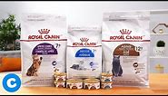 Royal Canin Feline Health Senior Cat Food | Chewy