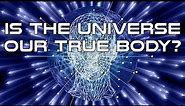 Is the Universe our true Body?