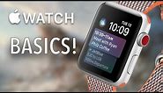 Apple Watch User Guide & Tutorial! (Apple Watch Basics!)
