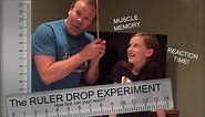 Reaction Time: The Ruler Drop Test Experiment (muscle memory / science project)