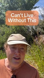 The right tool can make you feel unstoppable in the garden 💪🌿 My dad gave me a mini Stihl chainsaw and I’m obsessed! What garden tool can you not live without? 🔧✨ If your property needs a makeover, it all starts with a PLAN. 🌿 DM me the word PLAN to get started.#gardeninspiration #outdoorliving #gardenideas #homegarden #diygarden | Kathleen Murphy Landscape Design