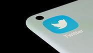 How to identify fake Twitter accounts amid flood of impostors