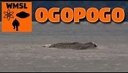 The best lake monster video I've seen - Ogopogo in Canada