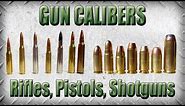 Intro to Gun Calibers - Which Ammunition Does What?