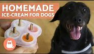 HOMEMADE ICE CREAM FOR DOGS - 4 easy recipes