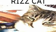 The greatest low quality cat memes that will give you Rizz