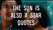 The Sun Is Also a Star Quotes by Nicola Yoon