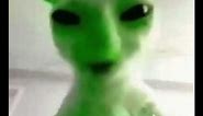 green alien cat says yaer aegh erya