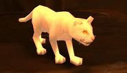 Cat Carrier (White Kitten)