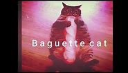 Baguette Cat meme