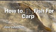 How to Fly Fish for Carp - Gear, Rods, Reels, Lines, Leaders, Tippets