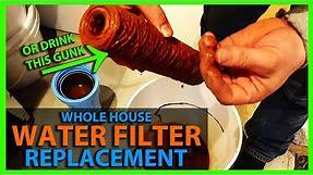 How To Change a Whole House Water Filter - Replace Water Filter Cartridge