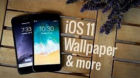 iOS 11 Wallpaper + Get Cool Backgrounds
