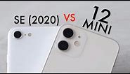 iPhone 12 Mini Vs iPhone SE (2020) CAMERA TEST! (Photo / Video Comparison)