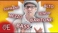 What is your Voice Classification? | Soprano Alto Tenor Bass | #DrDan 🎤