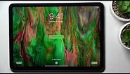 How to Change Wallpaper on iPad Air (5th generation) - Set Home Screen & Lock Screen Wallpaper