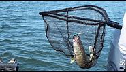 Snap Weights for Trolling Crankbaits - Walleye Fishing