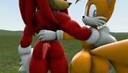 Knuckles and tails farted