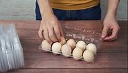 Egg Cartons 60 Packs with Holds up to 6 Eggs Securely, Reusable Perfect for Family Pasture Farm Markets Display, for Refrigerator, Storage, Family, Chicken Farm, Market, Camping