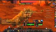 The Wolf and The Kodo - World of Warcraft Quest