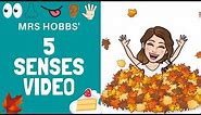 My 5 senses for kids | Autumn | Twinkl