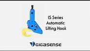 Gigasense (PIAB) IS Series Automatic Lifting Hook