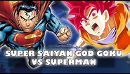 Super Saiyan God Goku vs Superman [FULL FIGHT]