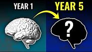 How Years Of Language Learning Affects Your Brain
