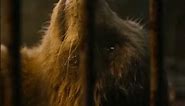 Rocket and Lylla and Teefs and Floor | Guardians of the galaxy 3 #guardiansofthegalaxy