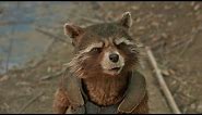 Rocket's Called a Trash Panda in Marvel's 'Guardians of the Galaxy Vol. 2' (2017)