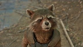 Rocket's Called a Trash Panda in Marvel's 'Guardians of the Galaxy Vol. 2' (2017)
