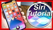 How To Use Siri On The iPhone 12 Pro Mini & iPhone 12 Siri Tutorial & Tips